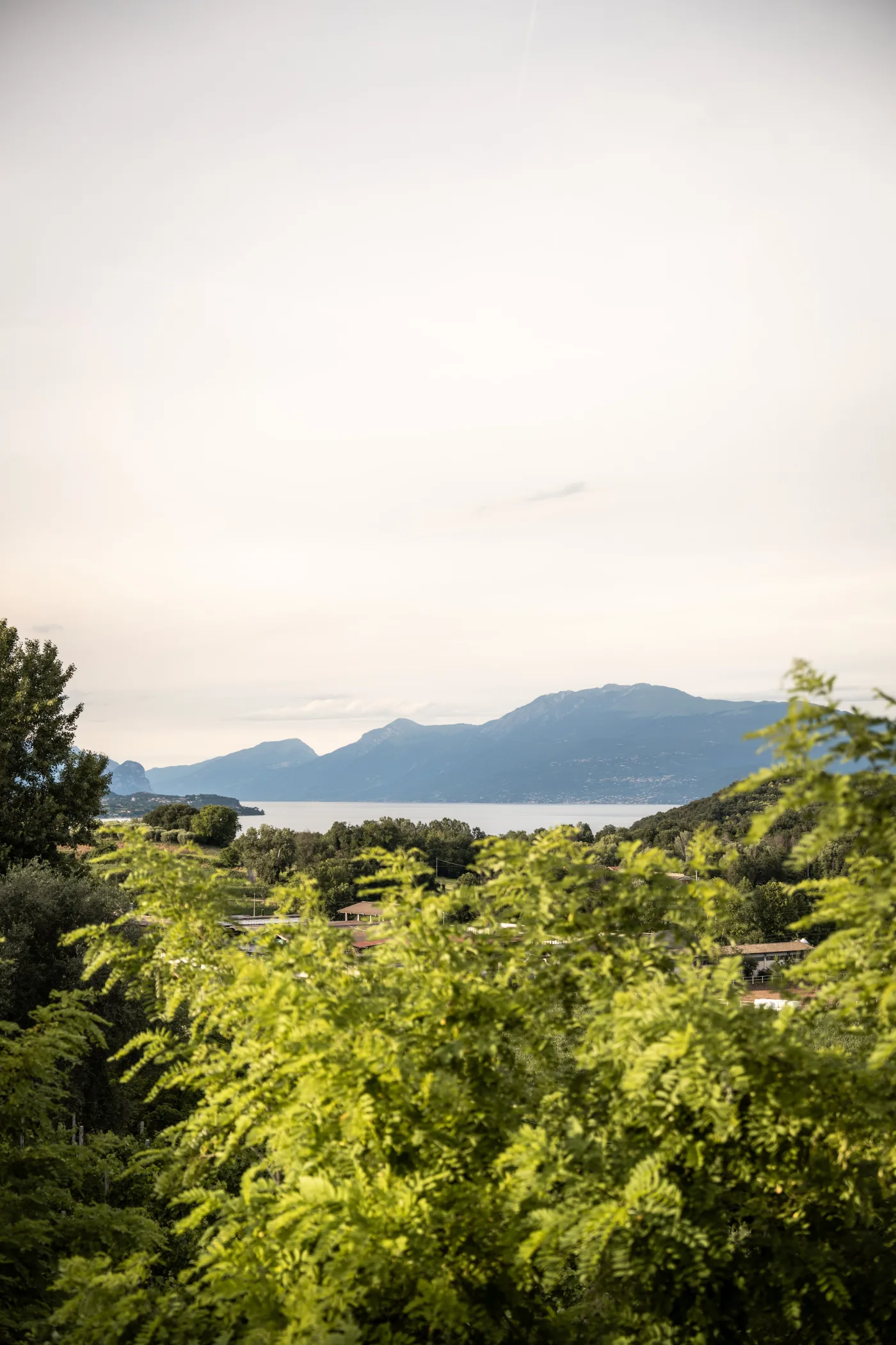 Il Lago di Garda visto dai vigneti Saottini